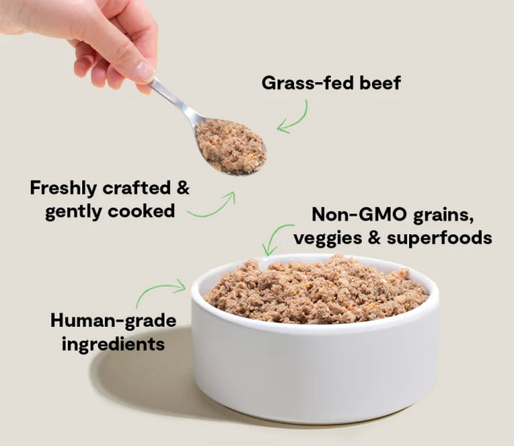 Open Farm Dog Frozen Gently Cooked Goodbowl Beef Grain 16 oz