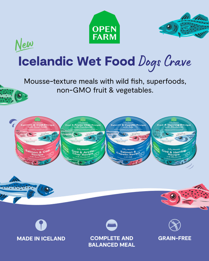 Open Farm Dog Can Icelandic Cod Herring 7 oz
