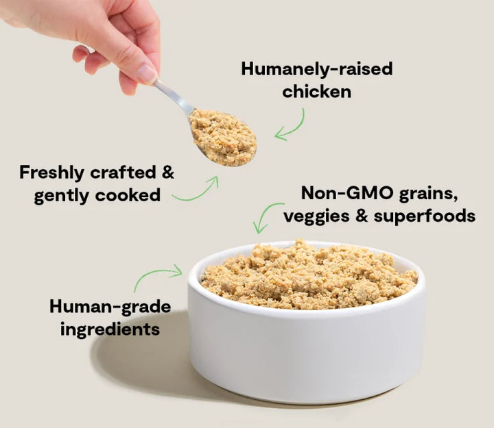 Open Farm Dog Frozen Gently Cooked Goodbowl Chicken Grain 16 oz