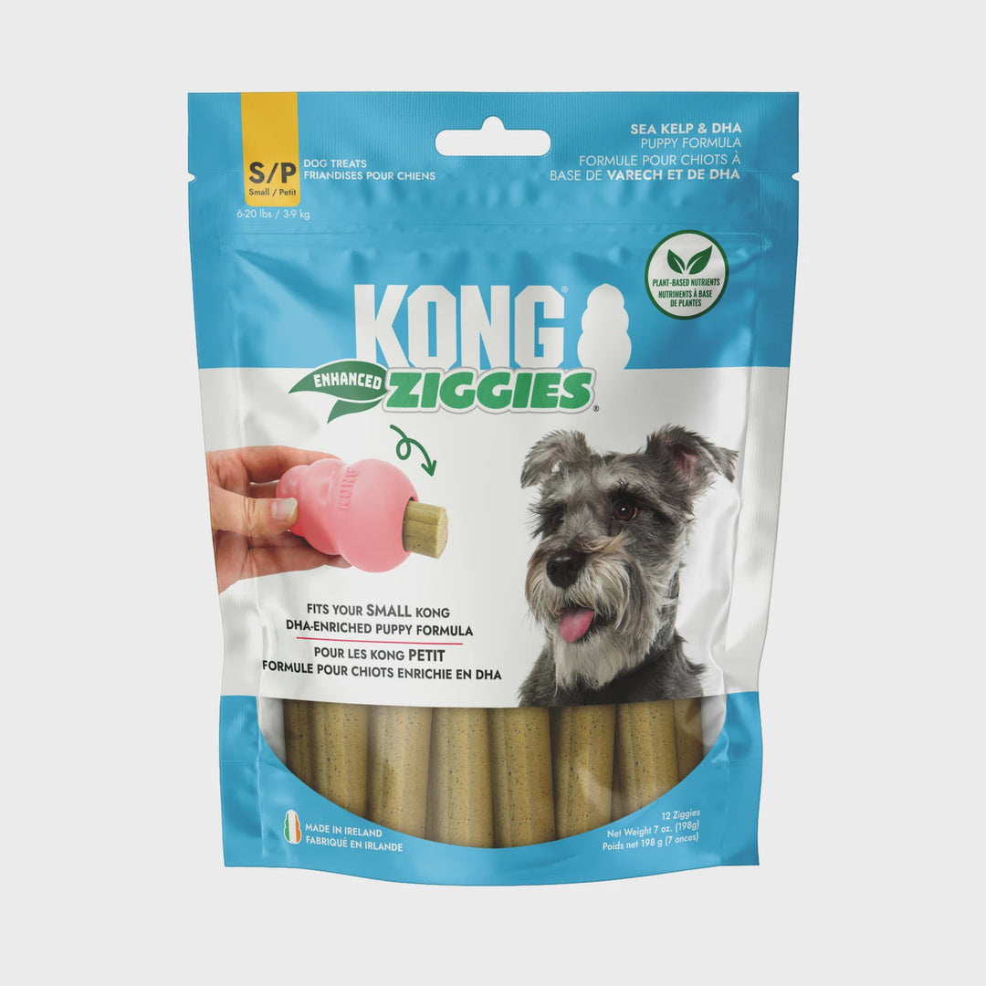 Kong Ziggies Enhanced Puppy Medium Large 8 oz
