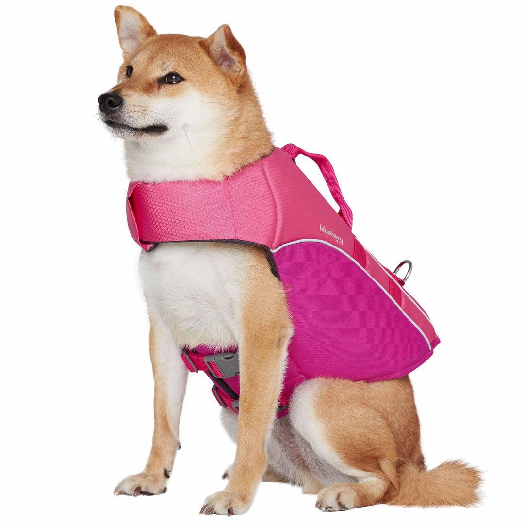 BlueBerry Pet Reflective Dog Life Jacket