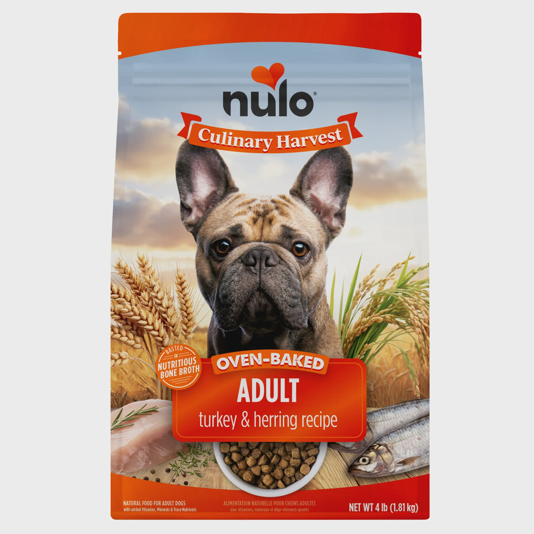 Nulo Culinary Harvest Baked Turkey Herring Dog 4 lb